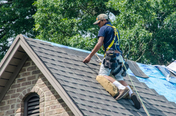 Roof Gutter Cleaning in Edgewood, OH